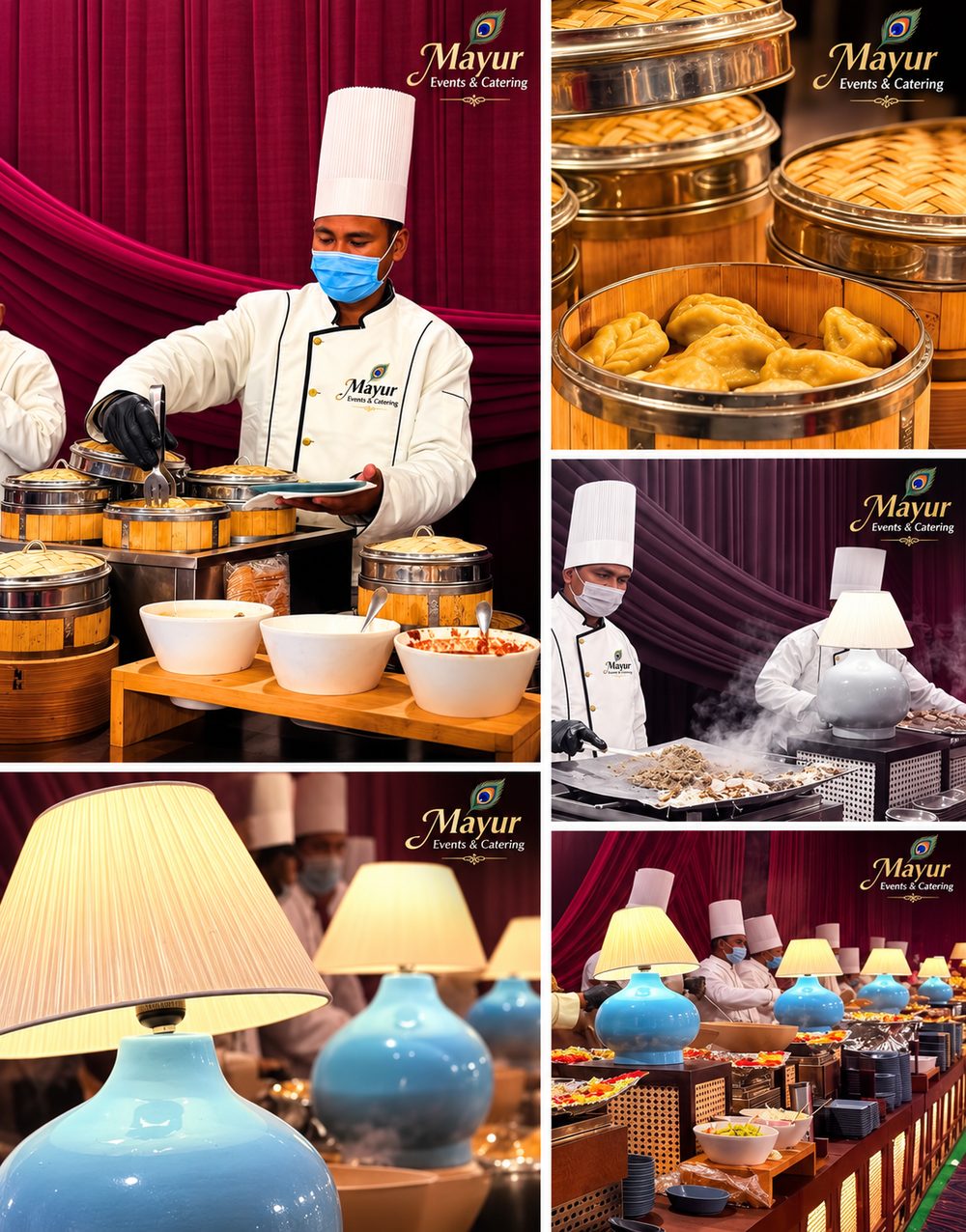 Live food counters and chef stations catering by Mayur Events Bilaspur
